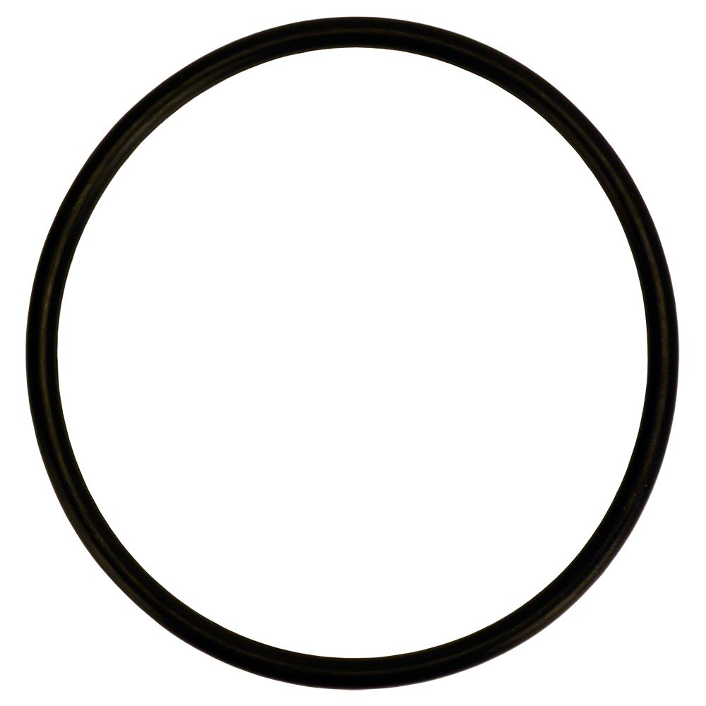 O-Ring for OmniFilter U25 & U27 Whole House Filter