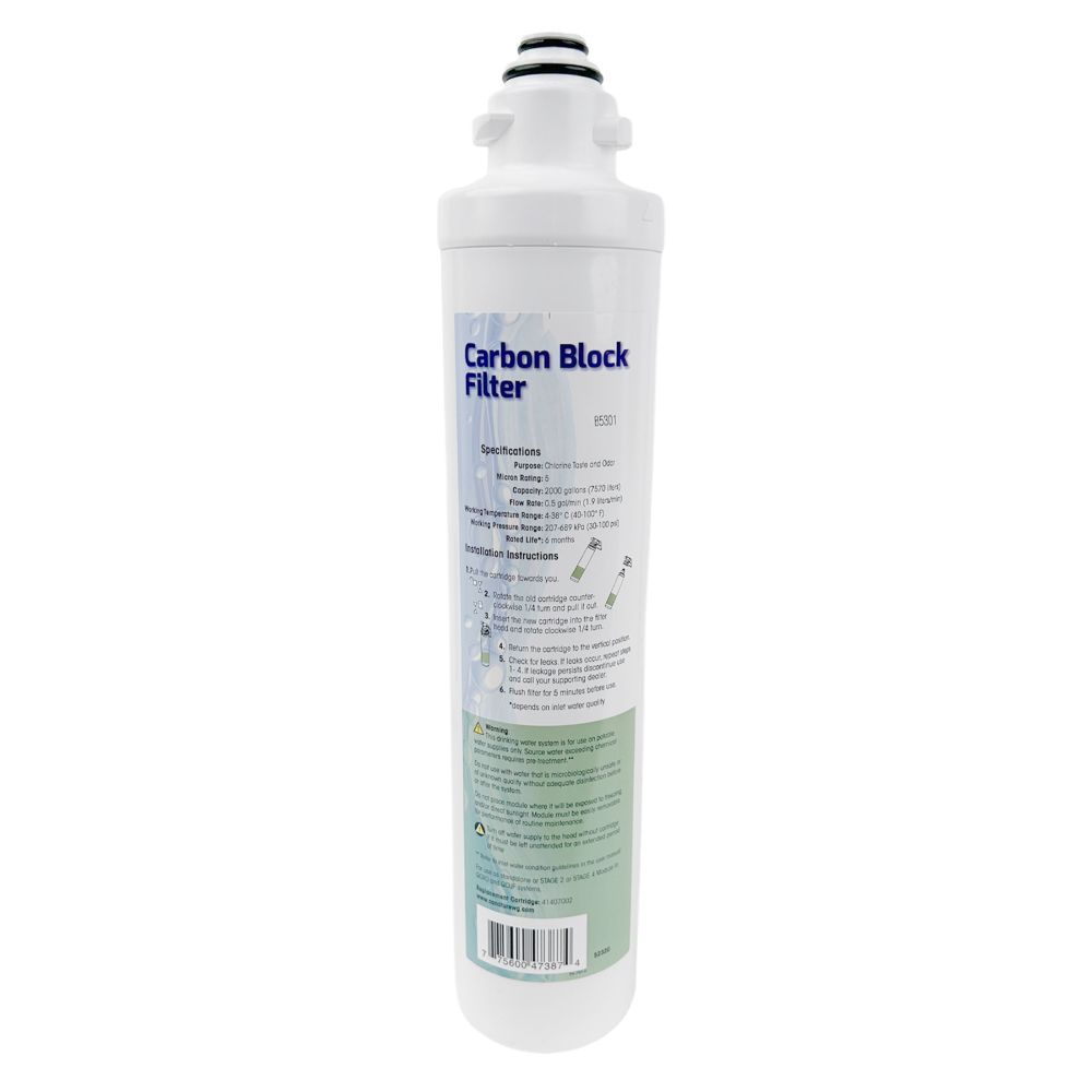 Aqua Flo 41407002 Quick Change Carbon Block Filter 5 mic