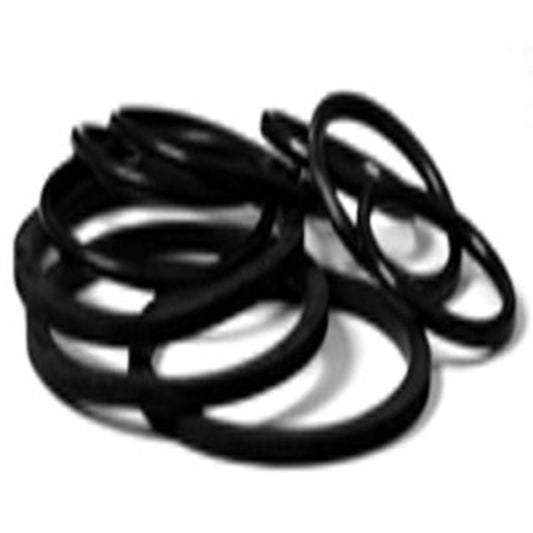 DrumQuik 2166000 Replacement Drum Insert Seal EPDM O-Ring - 2" Buttress