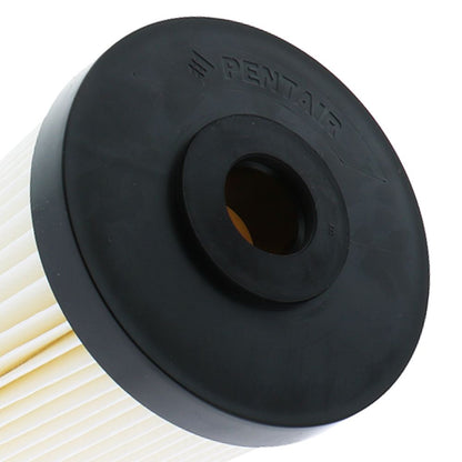 10" BB Pentek S1-BB Pleated Cellulose 20 mic Filter