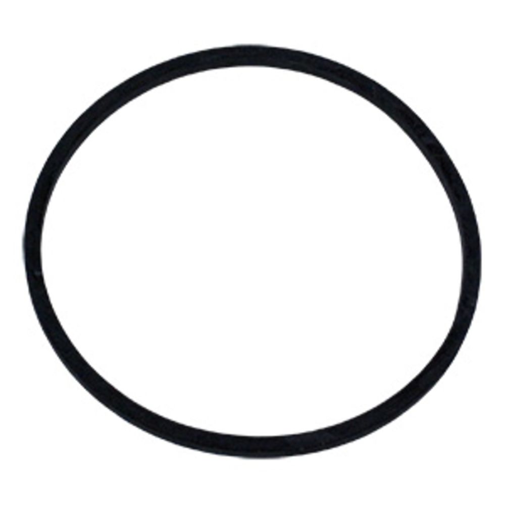 O-Ring for Aqua-Pure Upflow Flange Head APUN101/201/301