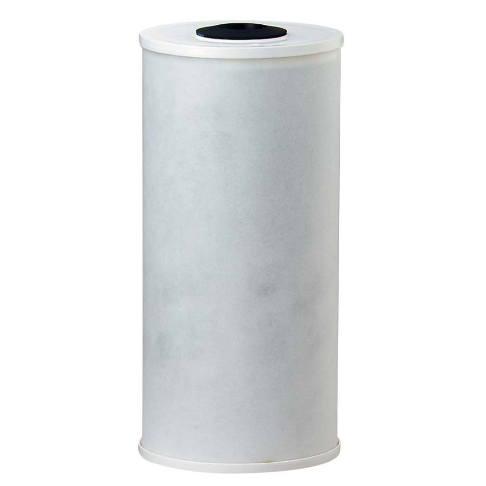 Pentek 155141-43 RFC-BB Radial Flow Carbon Filter 25 mic