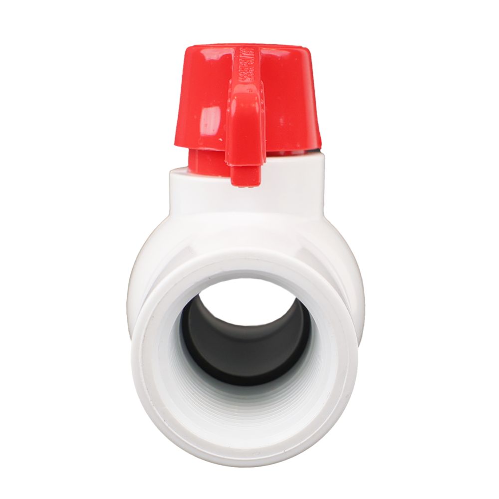 Schedule 40 PVC Molded-In-Place Ball Valve 1" FPT