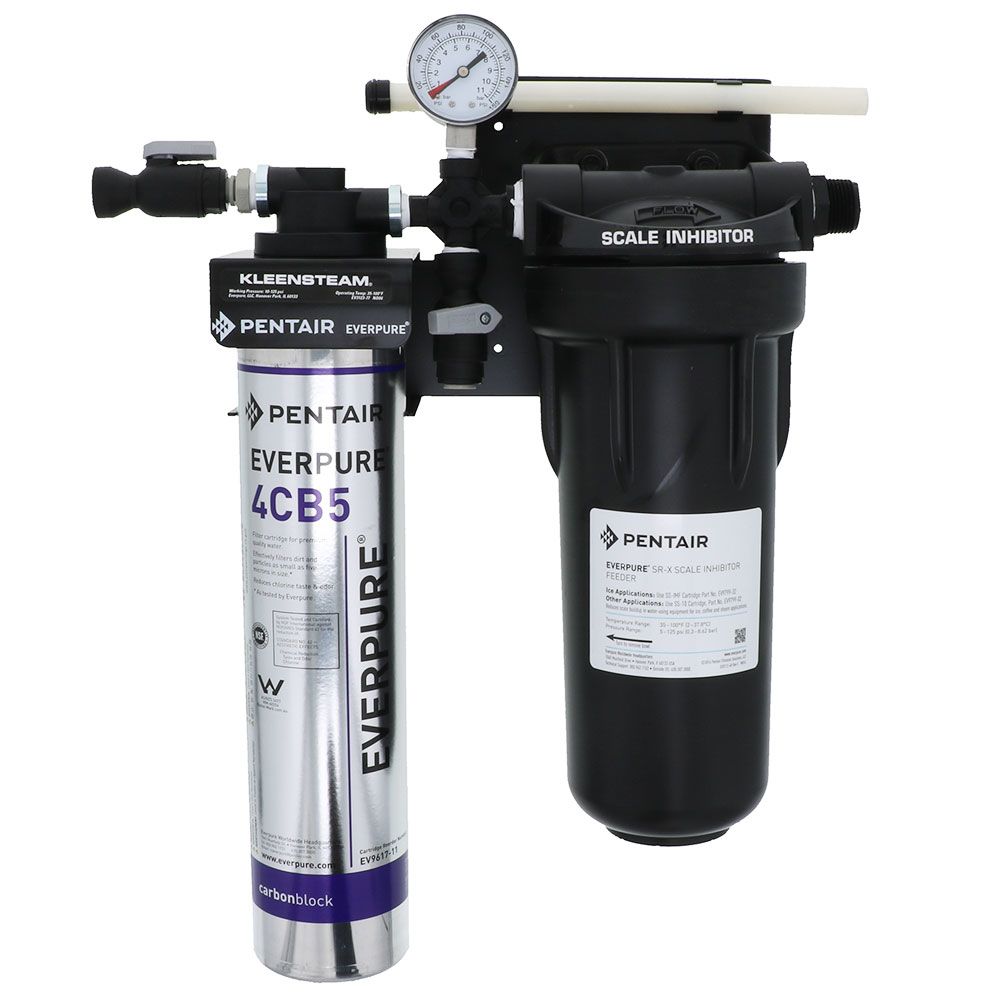 Everpure EV9797-50 Kleensteam CT System for Steam Applications