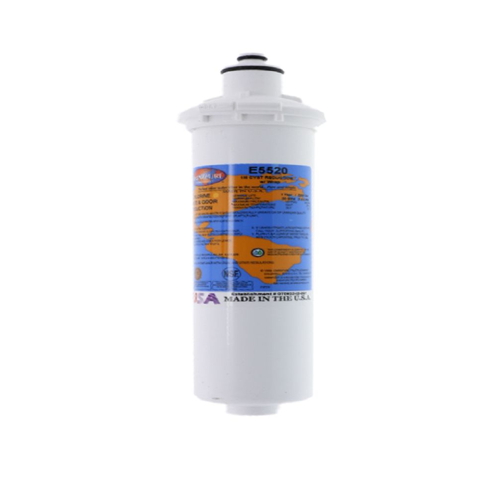 Omnipure E5520 Everpure® Compatible 1M CTO/Cyst - 2500 gal Filter