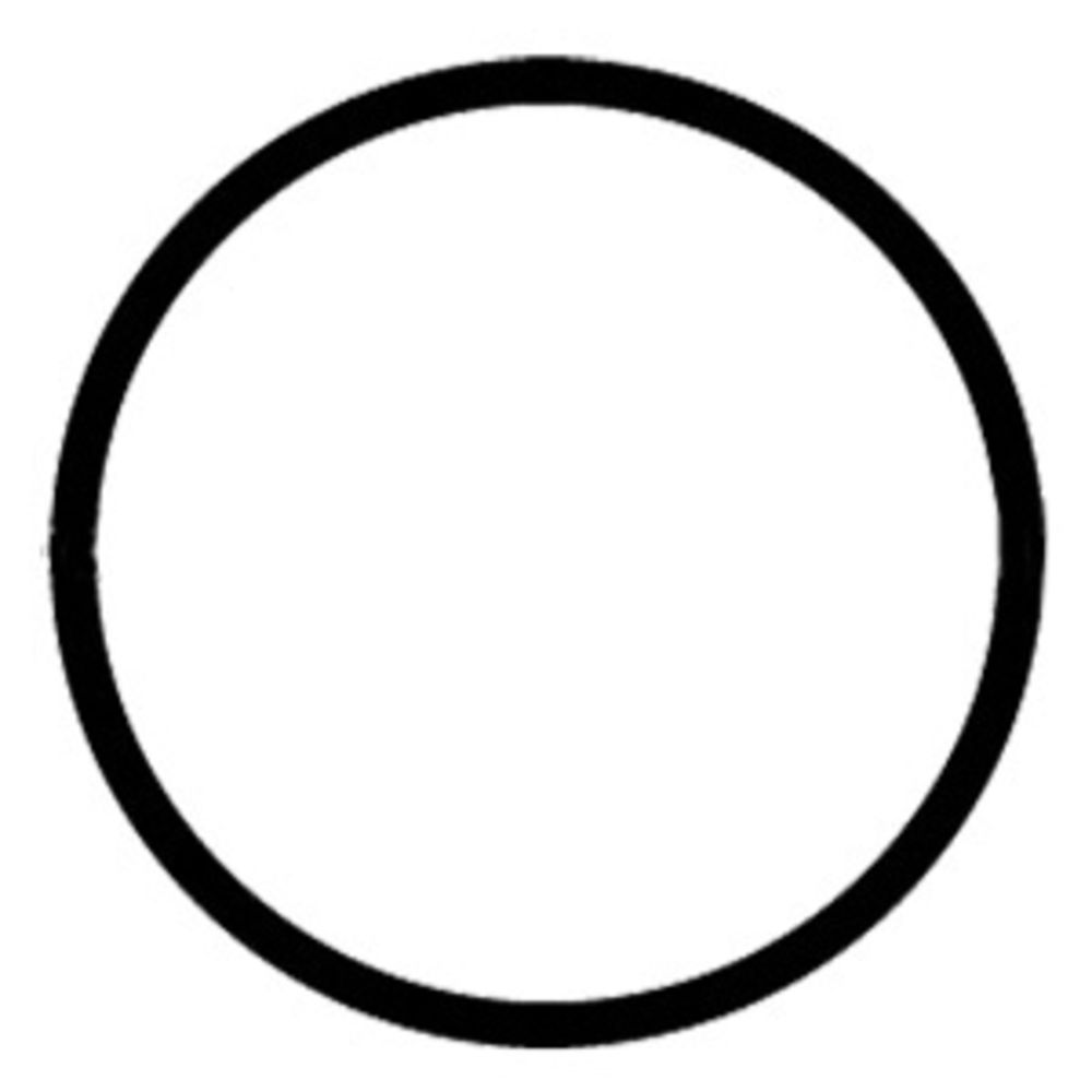O-Ring for Membrane Housing CAP