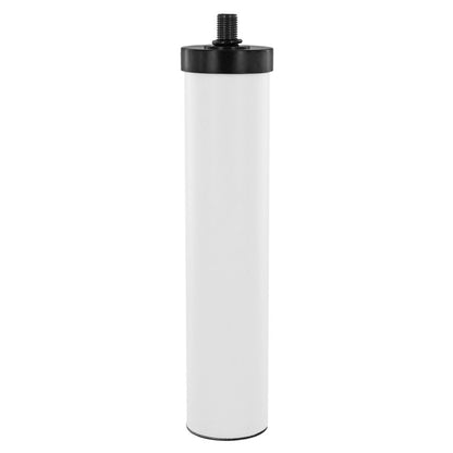 AquaCera CFM1-10S MTBE Reduction Ceramic Filter