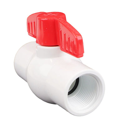 Schedule 40 PVC Molded-In-Place Ball Valve 3/4" FPT