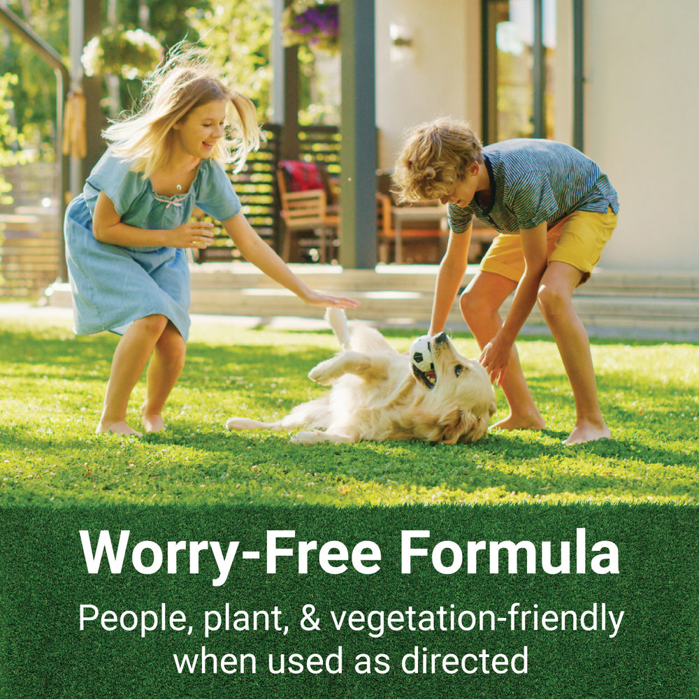 Stow N' Flow 5 Gal. In-Ground Feeder System with GrassSoGreen & Nature Shield