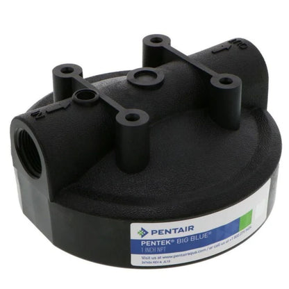AXEON Pentair Filter Housing 4.5" X 10" Single O-Ring 1" FNPT Black/Grey