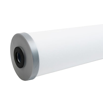 Pentair Lead Filter Replacement Cartridge for 160410 [LR-BB50]