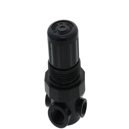 Norgren R91W2AK015 Non-Relieving Water/Air Pressure Regulator 1/4 FPT