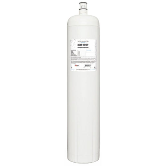 Aquamor BevGuard BGM-4916P Sediment/Scale Filter