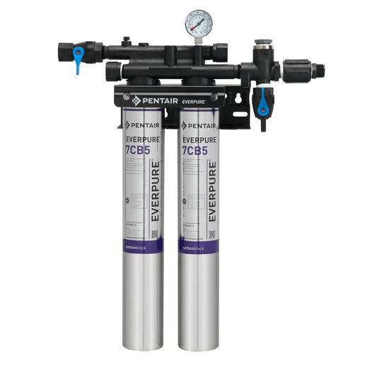 Everpure Kleensteam II Twin w/o Feeder