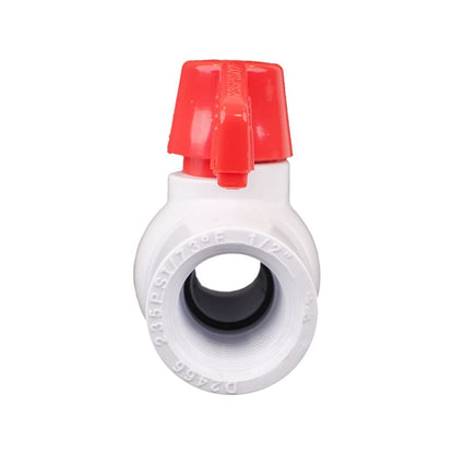 Schedule 40 PVC Molded-In-Place Ball Valve 1/2" FPT