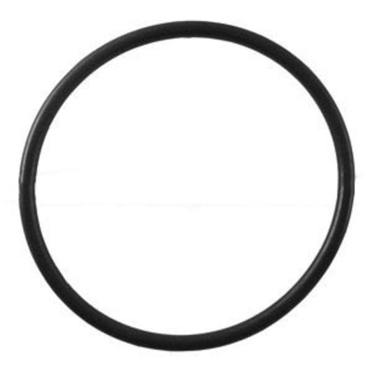 O-Ring #W2390009 for Doulton HIP Housing