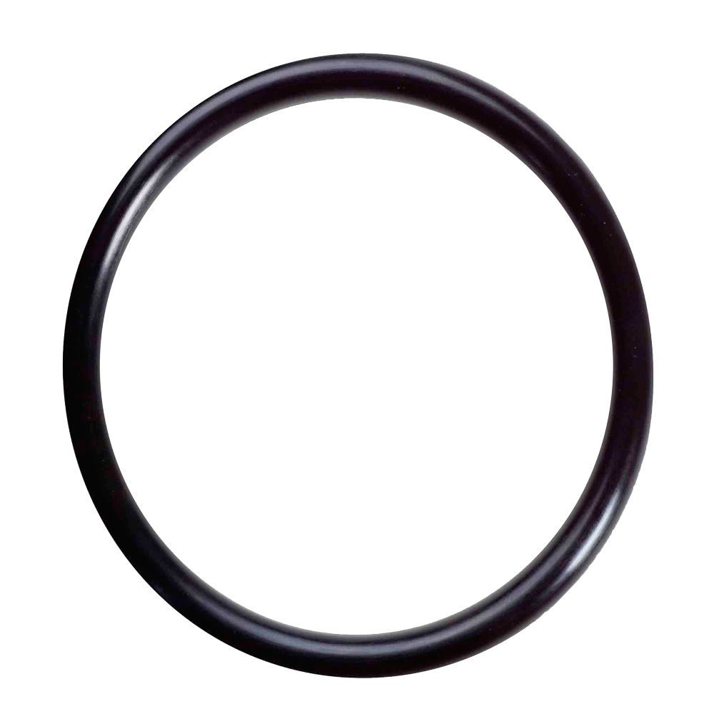 AXEON 4" O-Ring PVC Membrane Housing