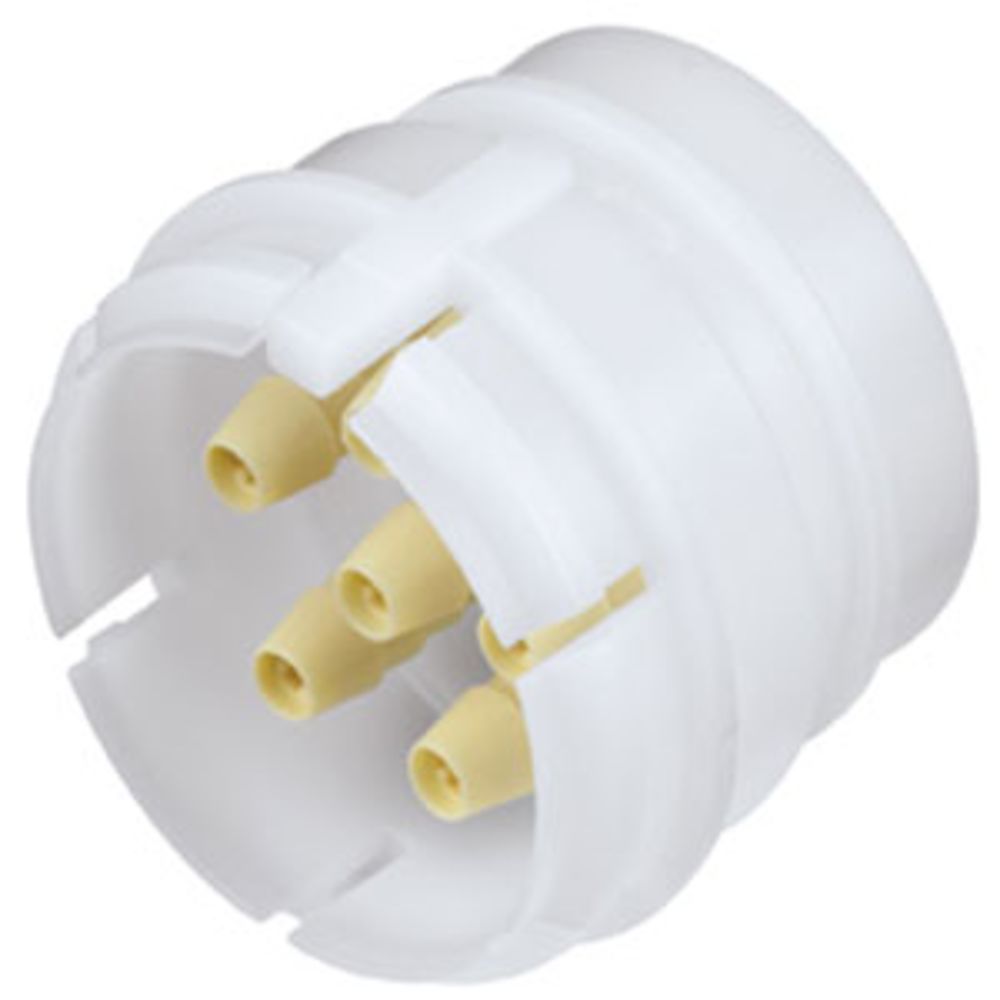 SXF420212 Non-Valved Hose Barb Coupling Insert with Female Fitting Bodies 1/8 ID Barb