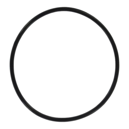 Everpure 143273 O-Ring for CB20 Series Housings