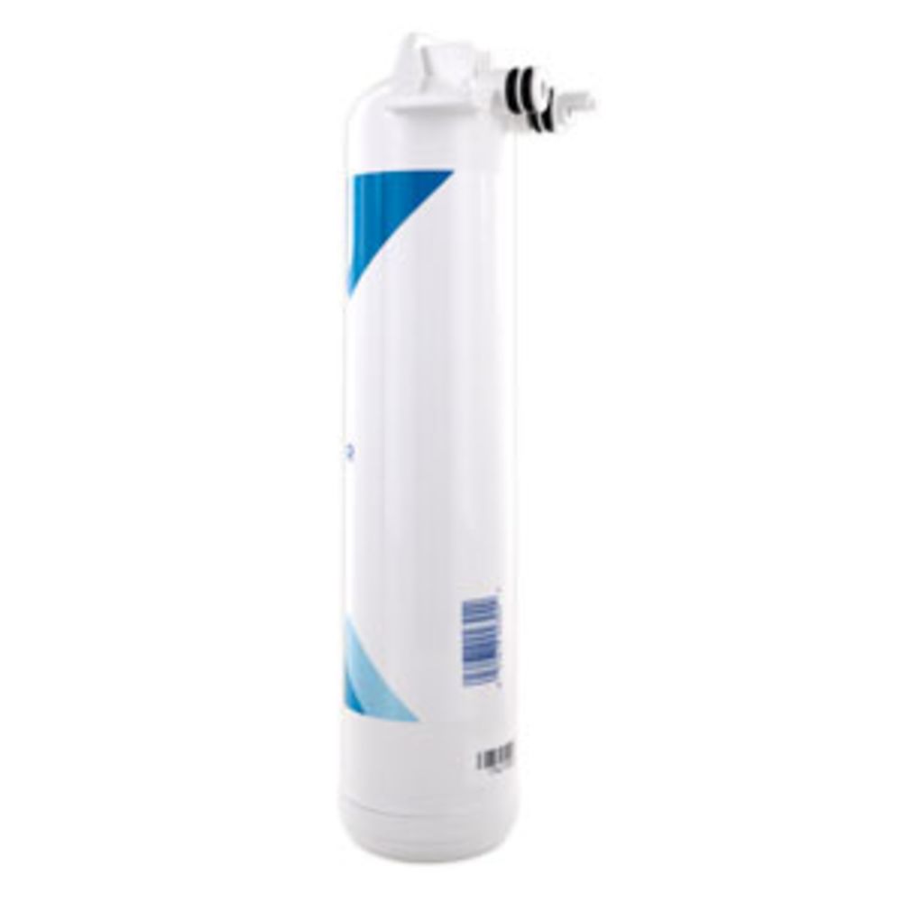 Pentair Freshpoint F1GC-RC GAC Post Filter Cartridge Filter